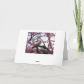 Carte Colombe et fleurs de Redbud (Dos)
