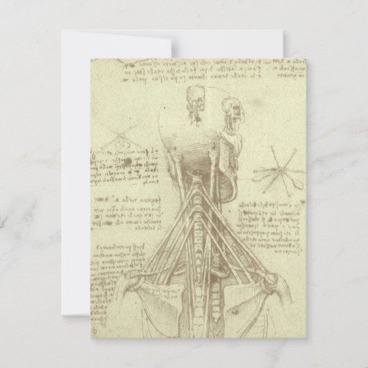 Carte Colonne de colonne vertébrale de l'anatomie humain (Devant)