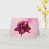 Carte Colonne rose de Bourgogne (Fleur jaune)