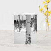 Carte Colorado Hiver Aspen (Fleur jaune)