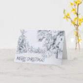 CARTE COLORADO NOËL (Fleur jaune)