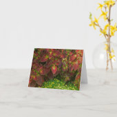 CARTE "COLORÉ COLORÉ" (PHOTO) (Fleur jaune)