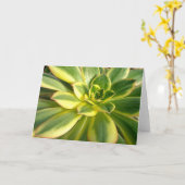 Carte Colorful succulent #2 Note (Fleur jaune)