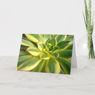Carte Colorful succulent #2 Note