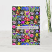 Carte colorfuspring (Dos)