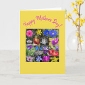 Carte colorfuspring (Fleur jaune)