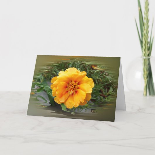 Carte Colors de Summer (Devant)