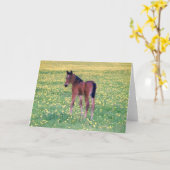 Carte Colt dans le champ de Dandelion (Fleur jaune)