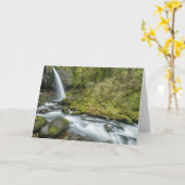 Carte Columbia River Gorge, Ponytail Falls (Fleur jaune)