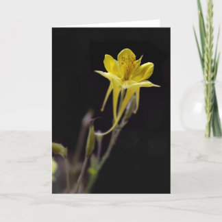 Carte Columbine jaune