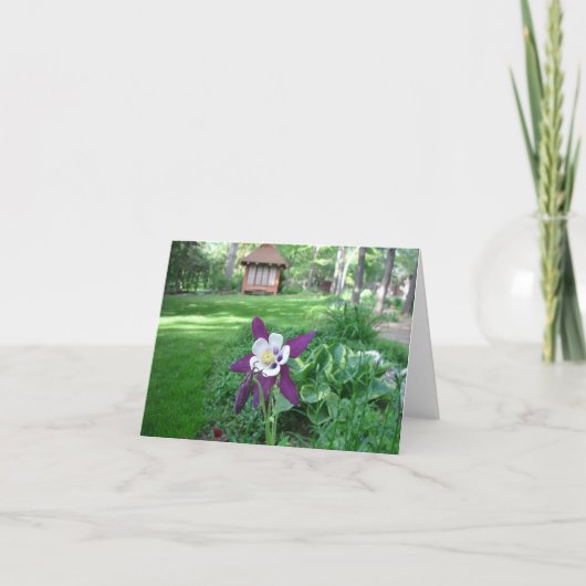 Carte Columbine pourpre et blanc (Devant)