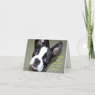 Carte Combien vieux pendant des années de chien ?