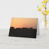 Carte Combinaison et tracteur Sunset (Fleur jaune)