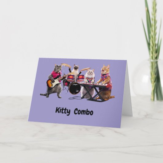 Carte Combo Tabby (Devant)