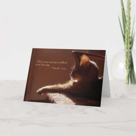 Carte Come and Go pour les chats (Devant)