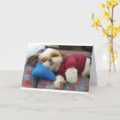 CARTE COMEDIC DOG DIT FAIRE ÇA SUR FÊTE DES PÈRES (Fleur jaune)