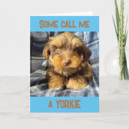 CARTE COMÉDIEN YORKSHIRE TERRIER DIT "JOYEUX ANNIVERSAIR (Devant)