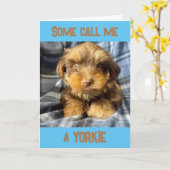 CARTE COMÉDIEN YORKSHIRE TERRIER DIT "JOYEUX ANNIVERSAIR (Fleur jaune)
