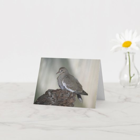 Carte Comfy Dove Inspirational Note Card (Petite plante)