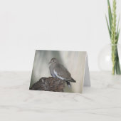 Carte Comfy Dove Inspirational Note Card (Devant)