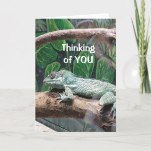 CARTE COMICAL LIZARD DIT "JOLI ANNIVERSAIRE"