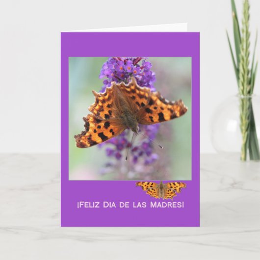 Carte Comma papillons jour de la mère espagnol (Devant)