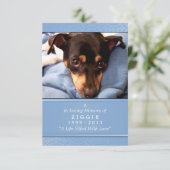 Carte commémorative pour animaux 3,5 x 5 bleu clai (Debout devant)