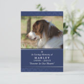 Carte commémorative pour animaux de compagnie 3,5 (Debout devant)