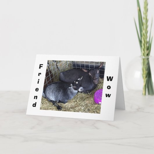 CARTE COMMENT L'ÂGE EST-IL DE DIRE QUE VOUS ÊTES AMIE CE (Devant)