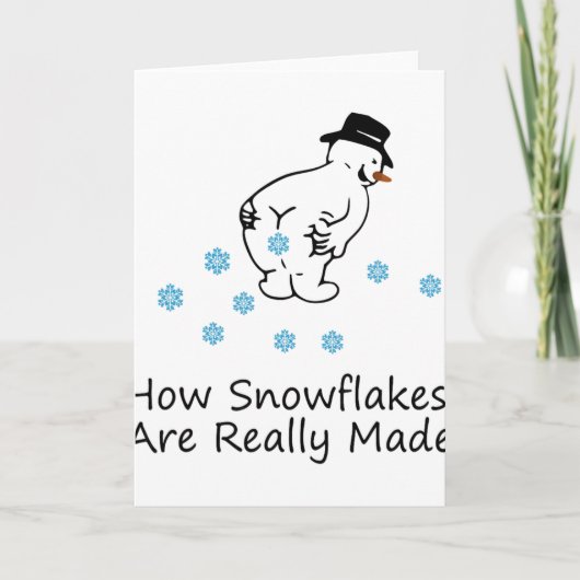 Carte Comment les flocons de neige sont vraiment faits N (Devant)