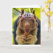 CARTE COMMENT PARLER D'UN "ESCALIER DE PARLEMENT" POUR V (Fleur jaune)