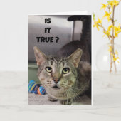 CARTE COMMENT POURREZ-VOUS EXPLIQUER LE TOURNOI **40** H (Fleur jaune)