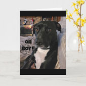 CARTE COMMENT POURREZ-VOUS EXPLIQUER LE TOURNOI **40** H (Fleur jaune)