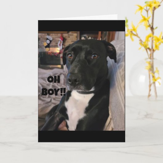 CARTE COMMENT POURREZ-VOUS EXPLIQUER LE TOURNOI **40** H (Fleur jaune)