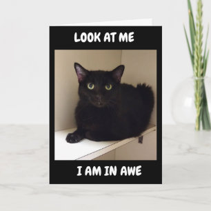 CARTE COMMENT POUVEZ-VOUS FAIRE "50"