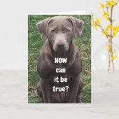 CARTE COMMENT POUVEZ-VOUS FAIRE "50" (Fleur jaune)