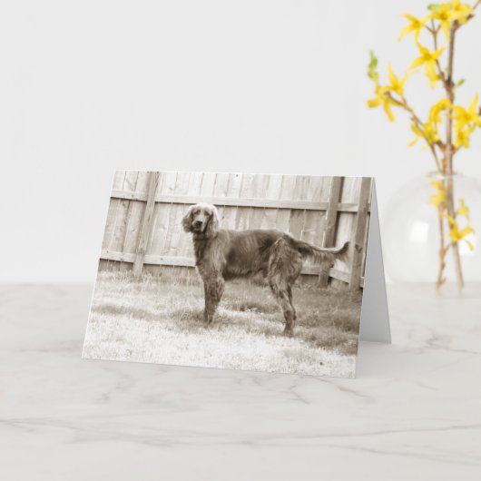 Carte Comment vas-tu ? (Fleur jaune)