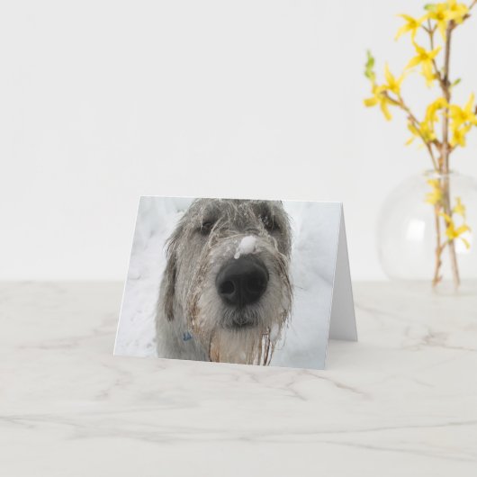 Carte Comment vas-tu ? (Fleur jaune)