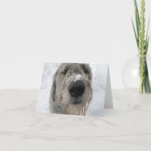 Carte Comment vas-tu ?