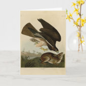 Carte Common Buzzard - d'Audubon's Birds of America (Fleur jaune)