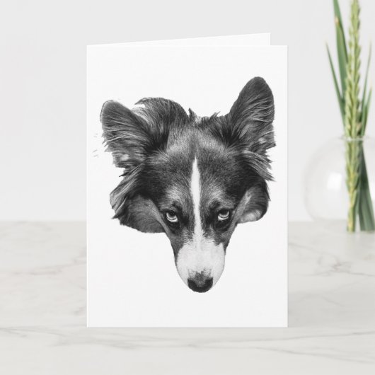 Carte compagnon silverlight (Devant)