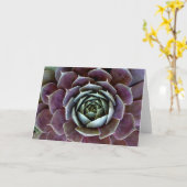 Carte Complément Succulent pourpre (Fleur jaune)