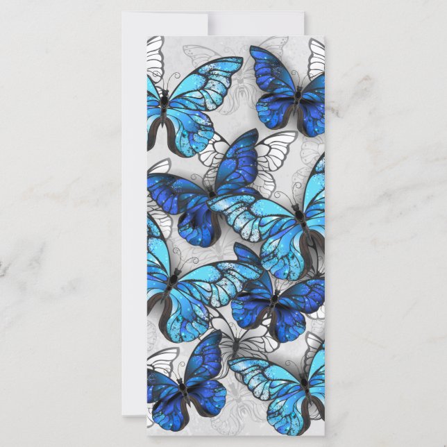 Carte Composition de papillons blancs et bleus (Devant)
