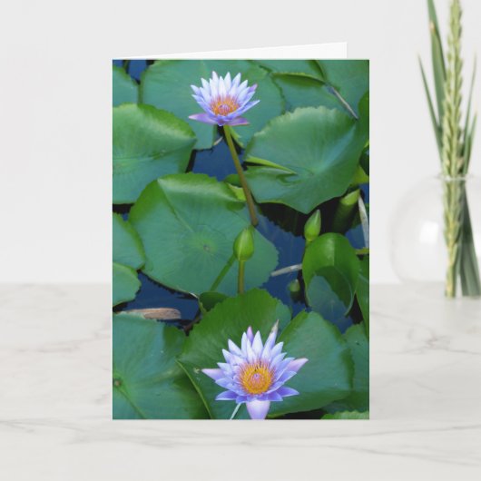 Carte Comptez vos bénédictions (Devant)