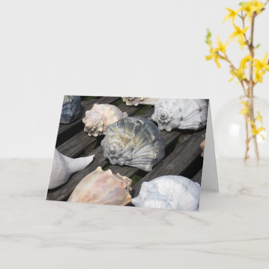 Carte Conch Shell Birthday Card (Fleur jaune)