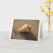 Carte Conch Shell (couleur) (Fleur jaune)