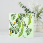 Carte Concombre chinois (Debout devant)