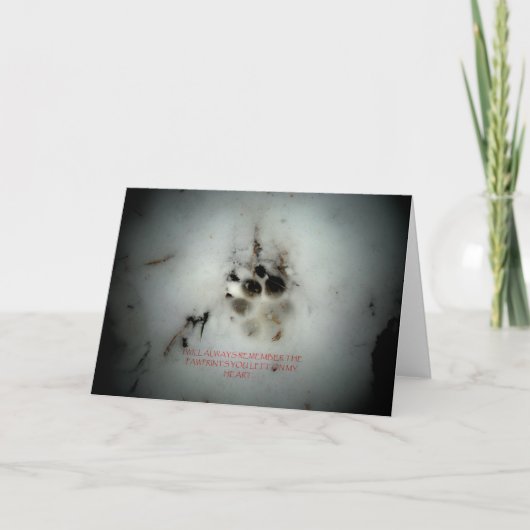 Carte Condolance Sympathie Canine (Devant)