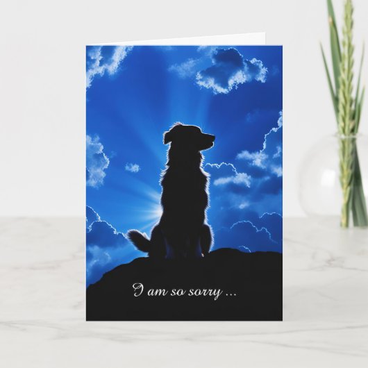 Carte Condoléances de sympathie avec le chien dans les n (Devant)