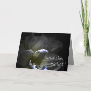 Carte Condoléances ! Fleur d'Amaryllis ...